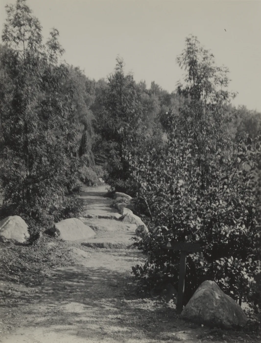old Island Trail, 1930's