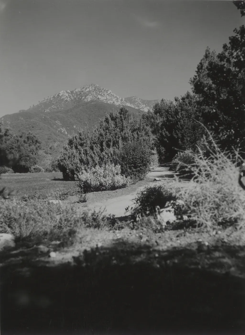east side of Meadow
