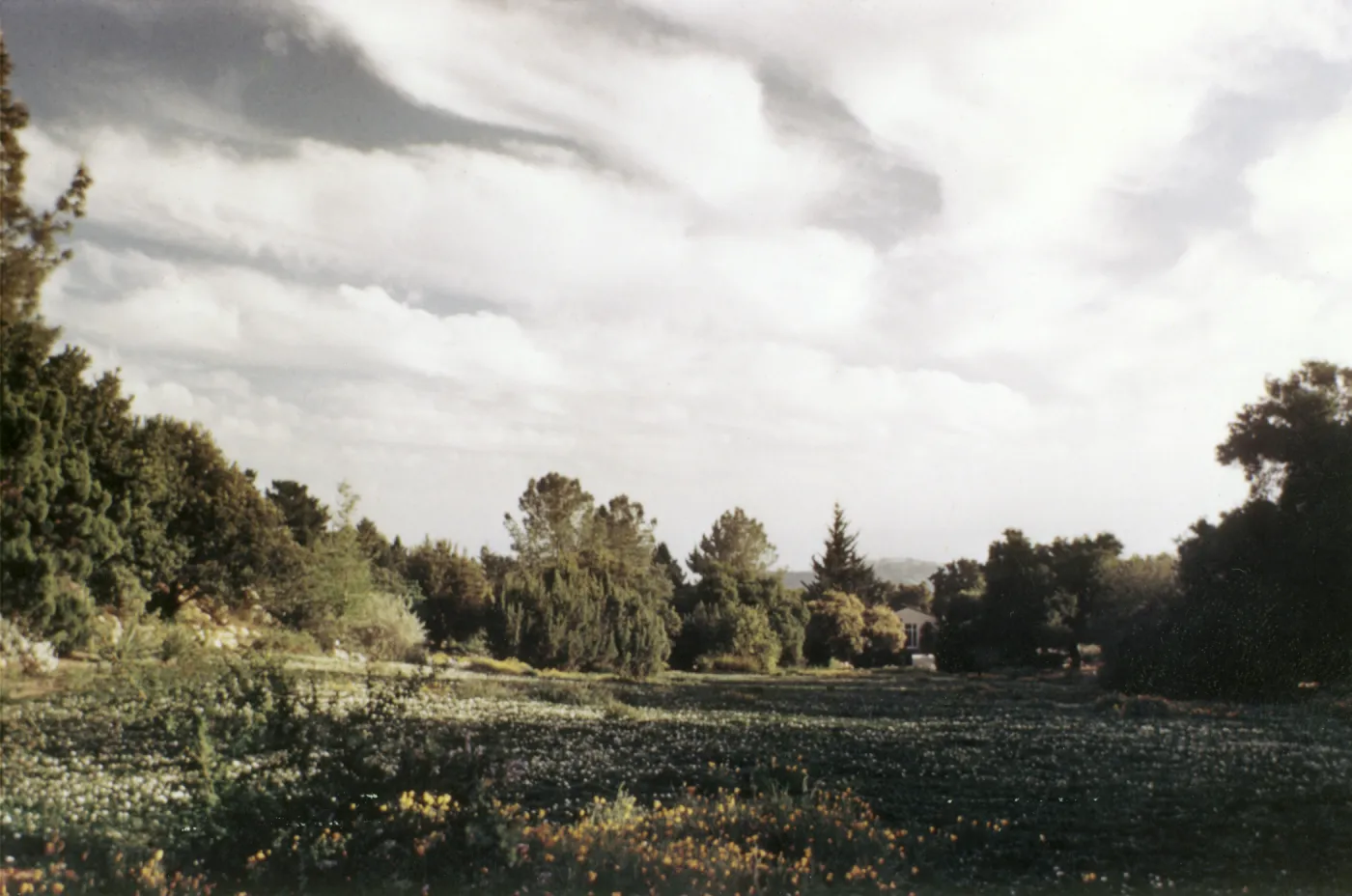 looking down the Meadow to the Blaksley Library