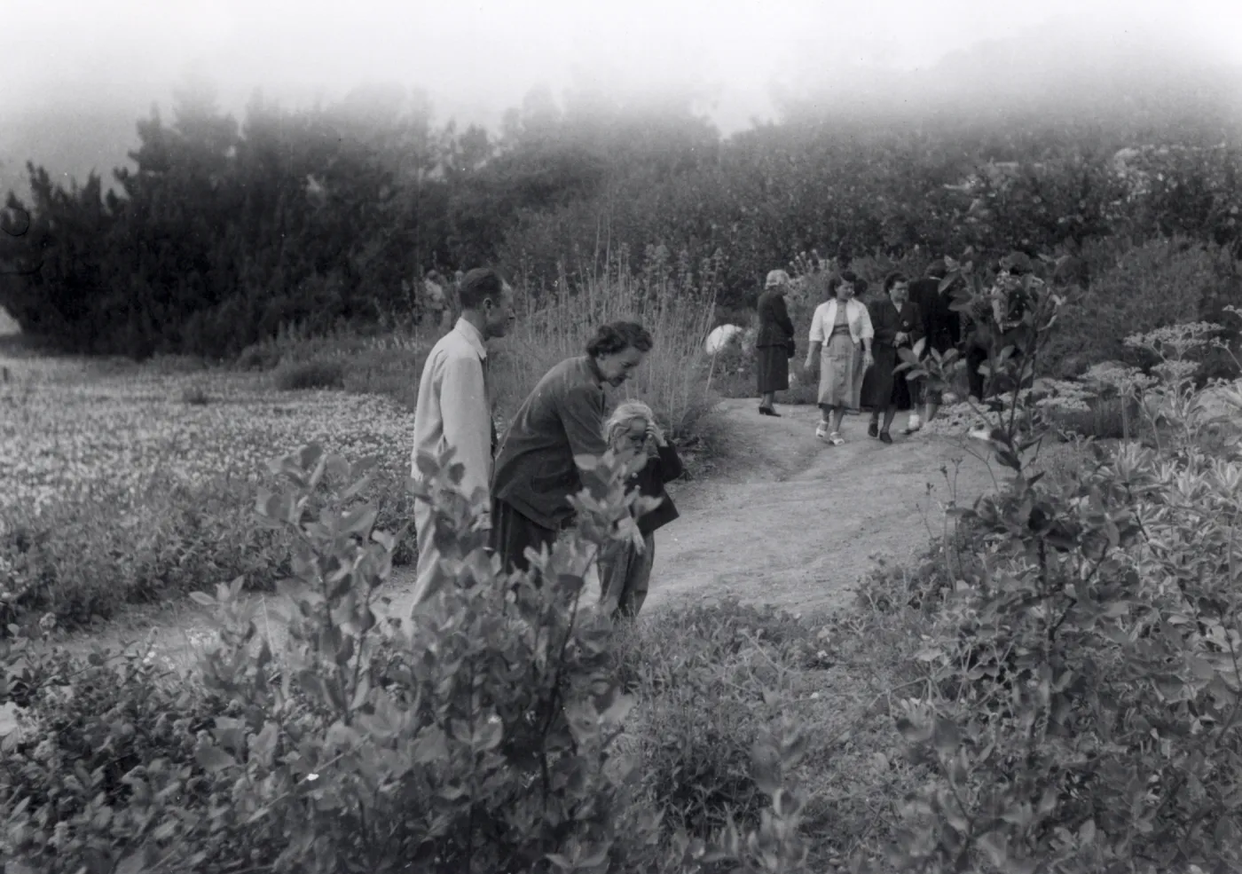 Sunday visitors in the Meadow, 1952