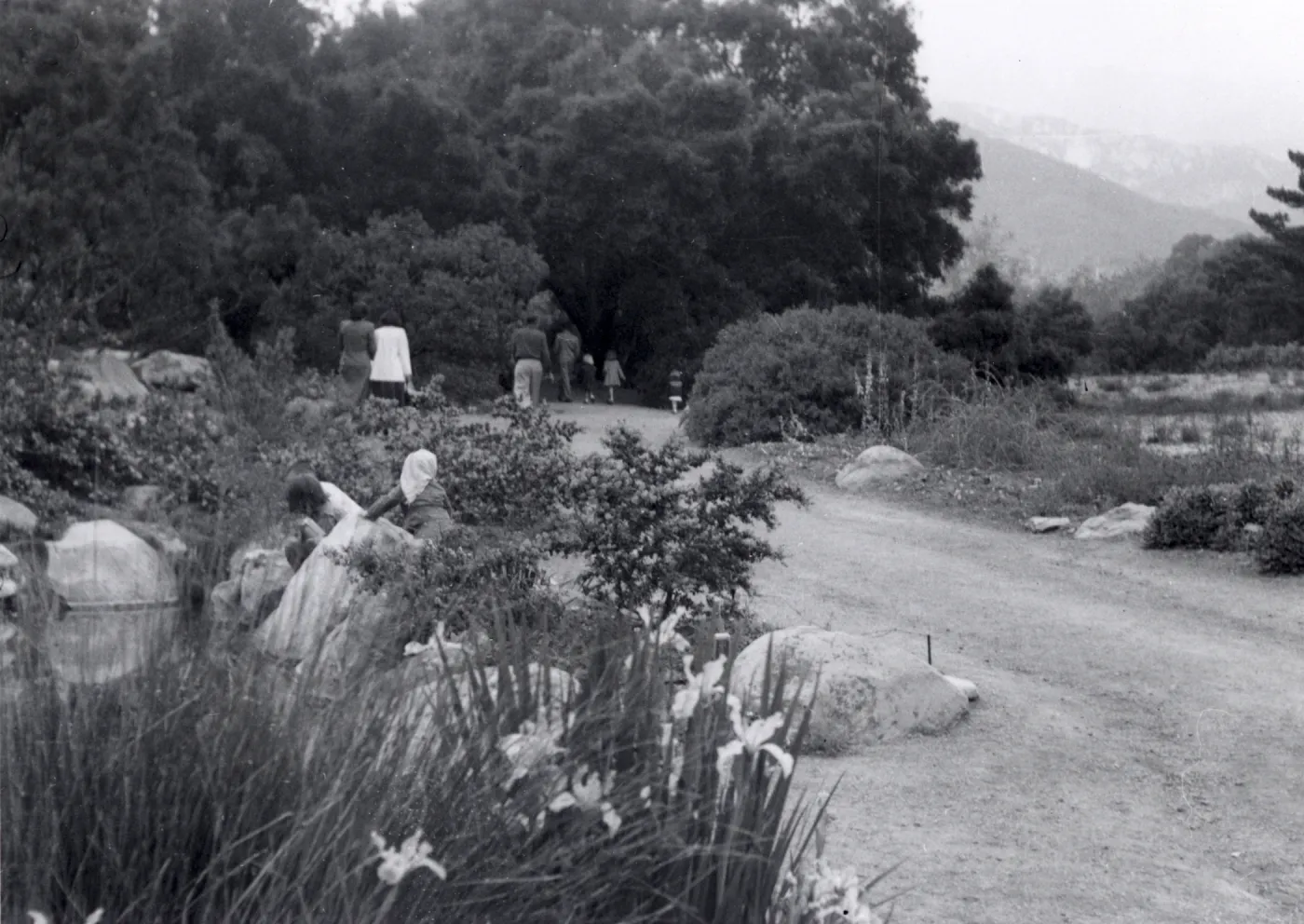 Sunday visitors in the Meadow, 1952