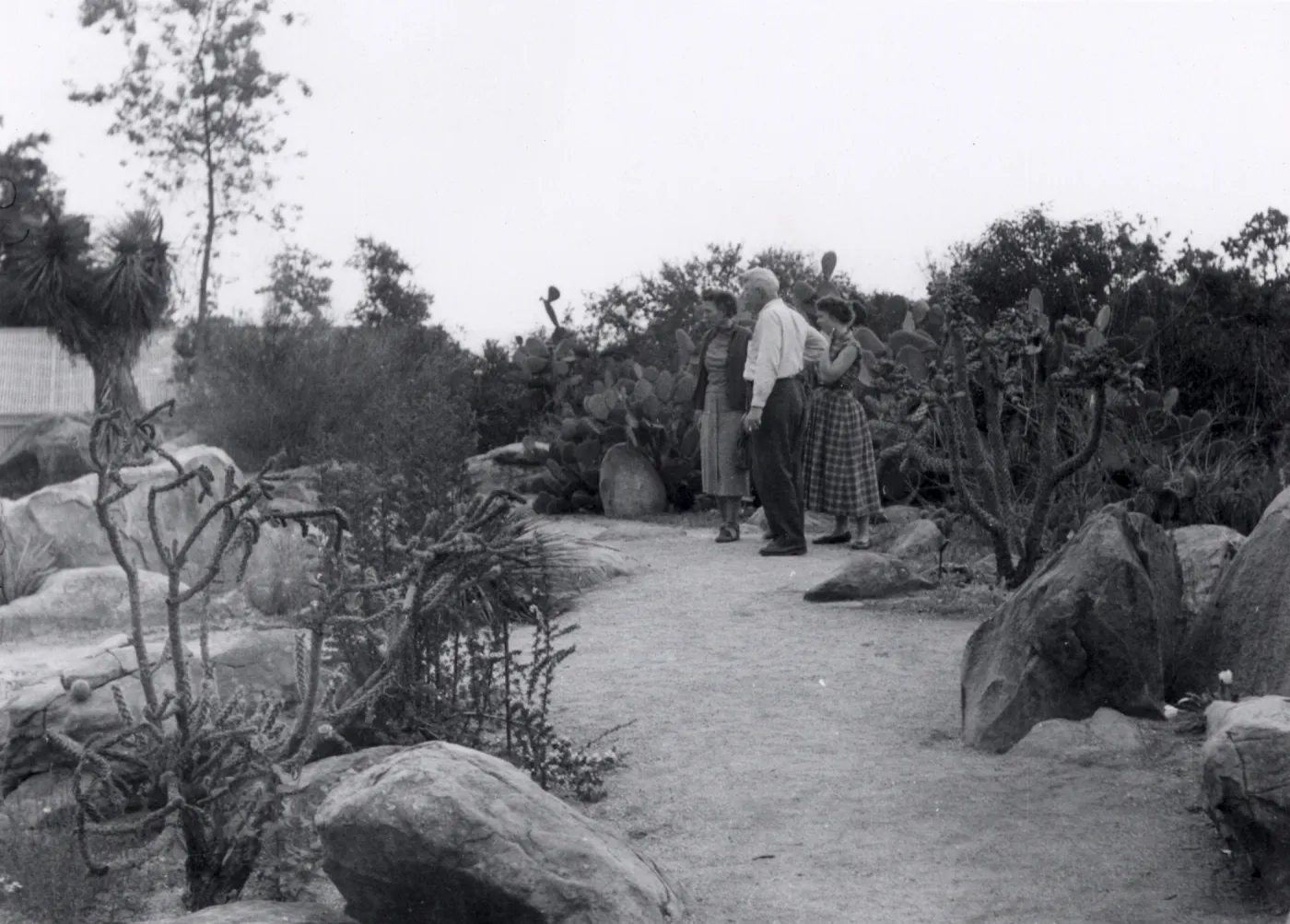 Sunday visitors in the Desert Section, 1952