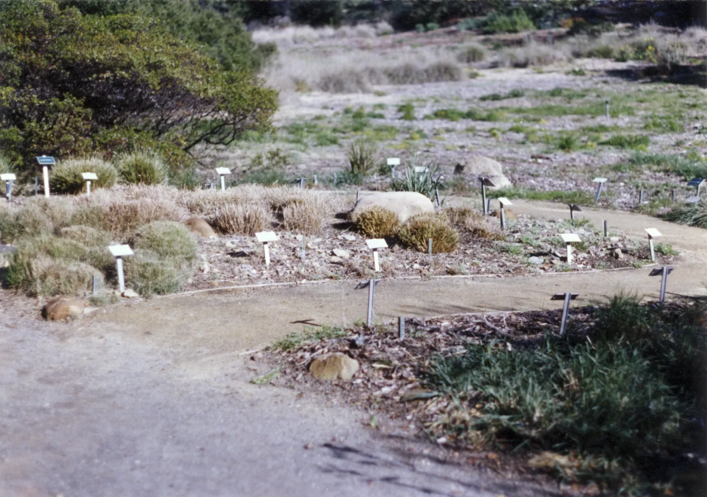 Grass Display