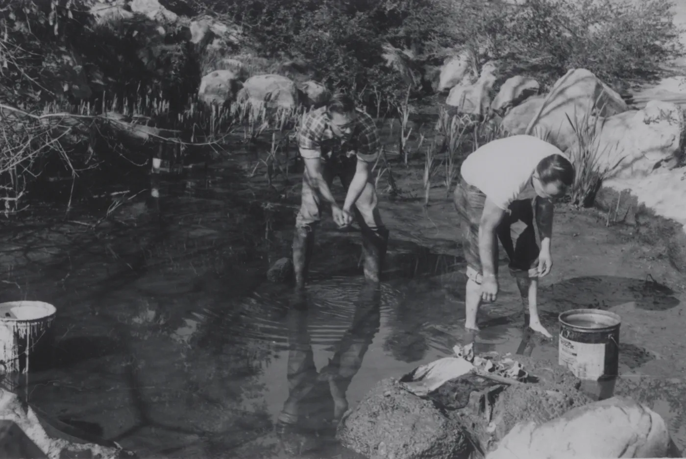 cleaning the fishpond