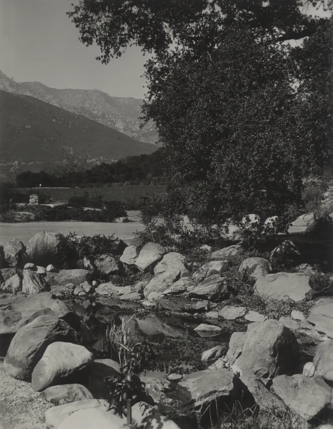 Pond at base of lower Meadow