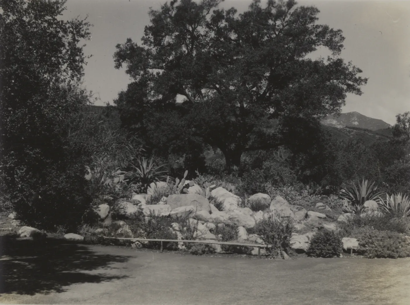 Meadow pool, 1938
