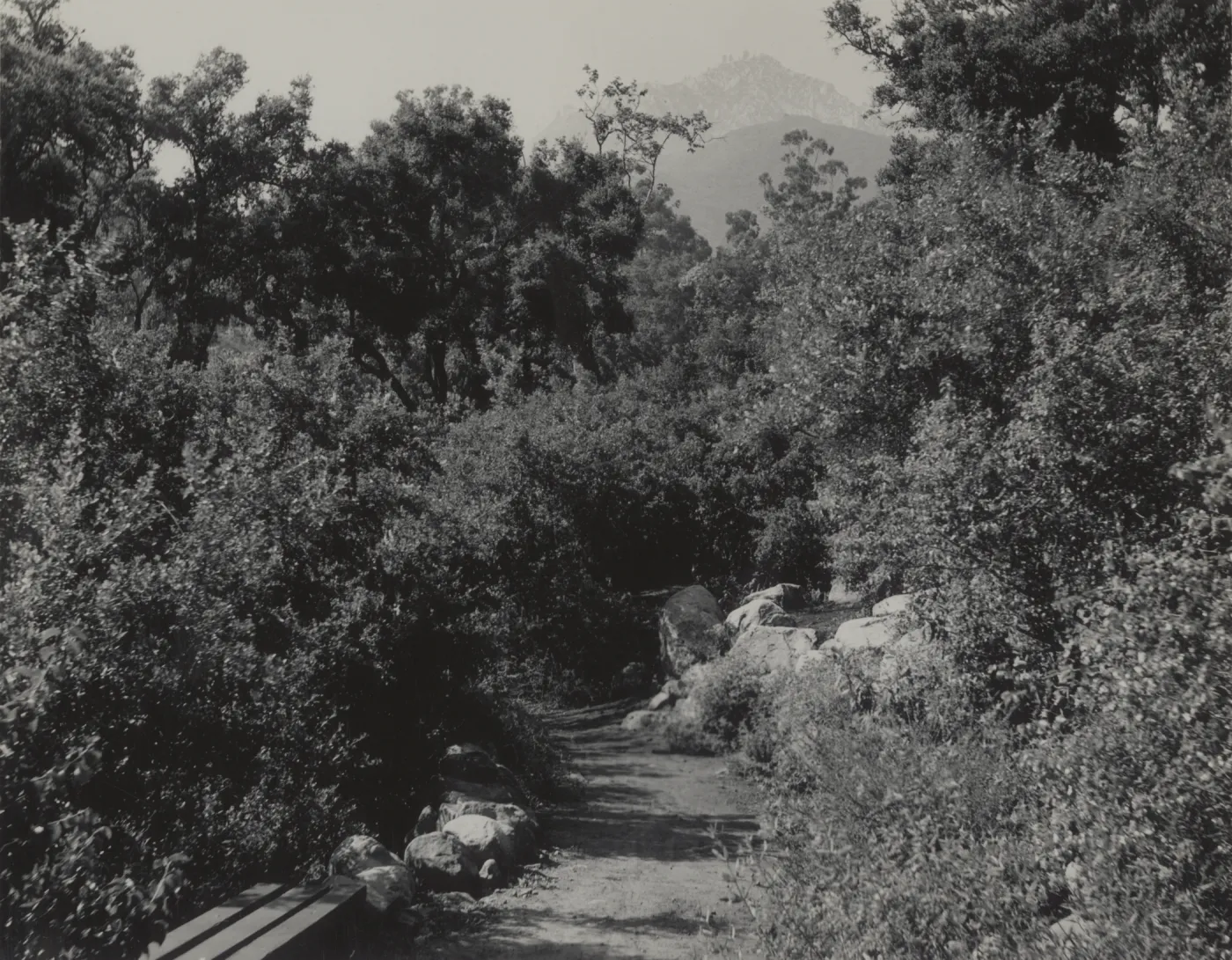 Campbell Trail