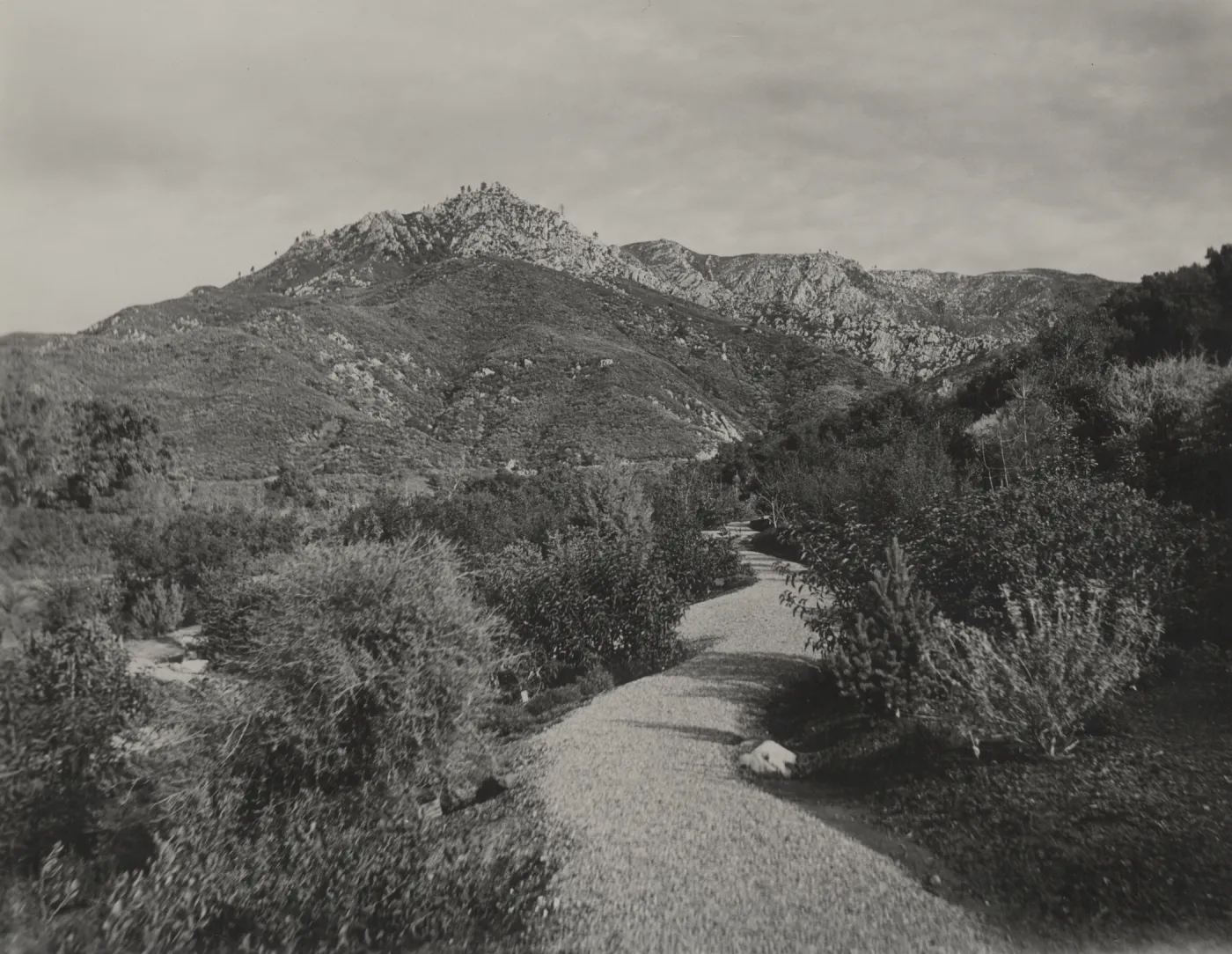 Foothill Trail
