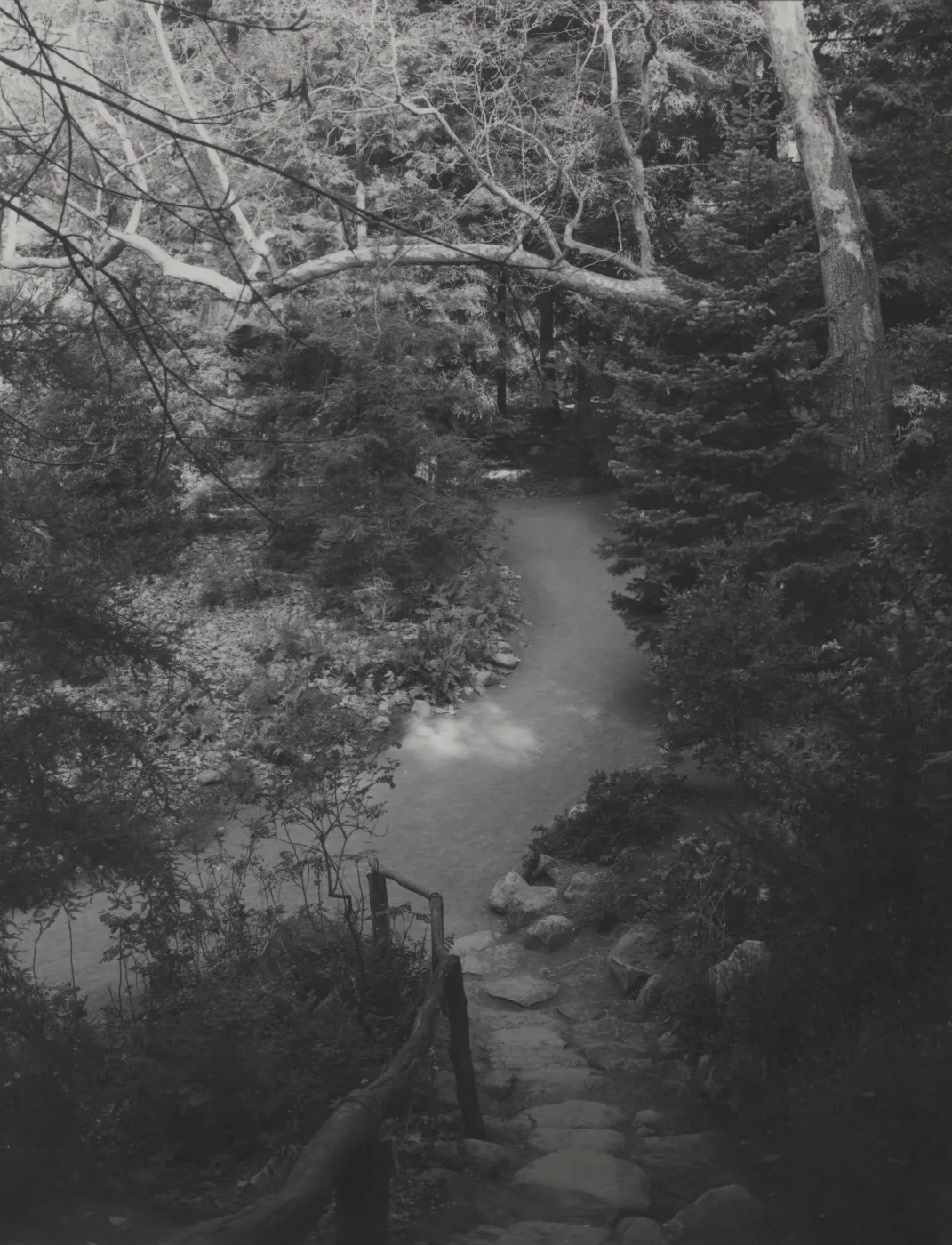 Indian Steps trail to the Redwood Section