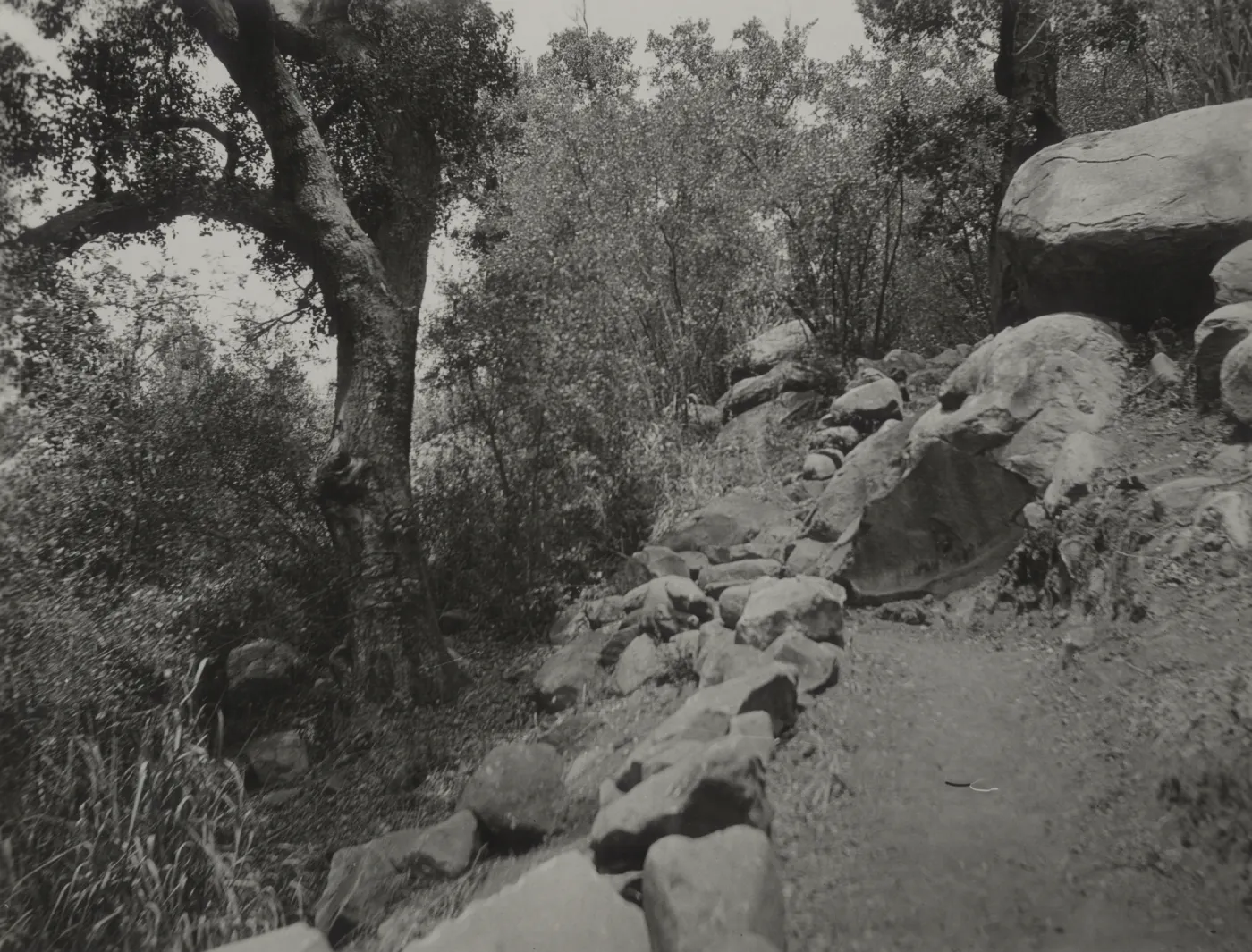 Pritchett Trail