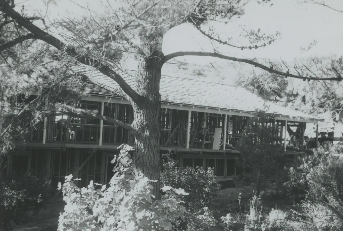 North Wing construction