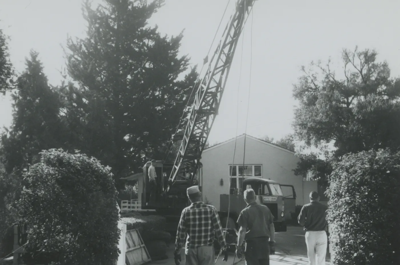 North Wing construction, tree removal with crane