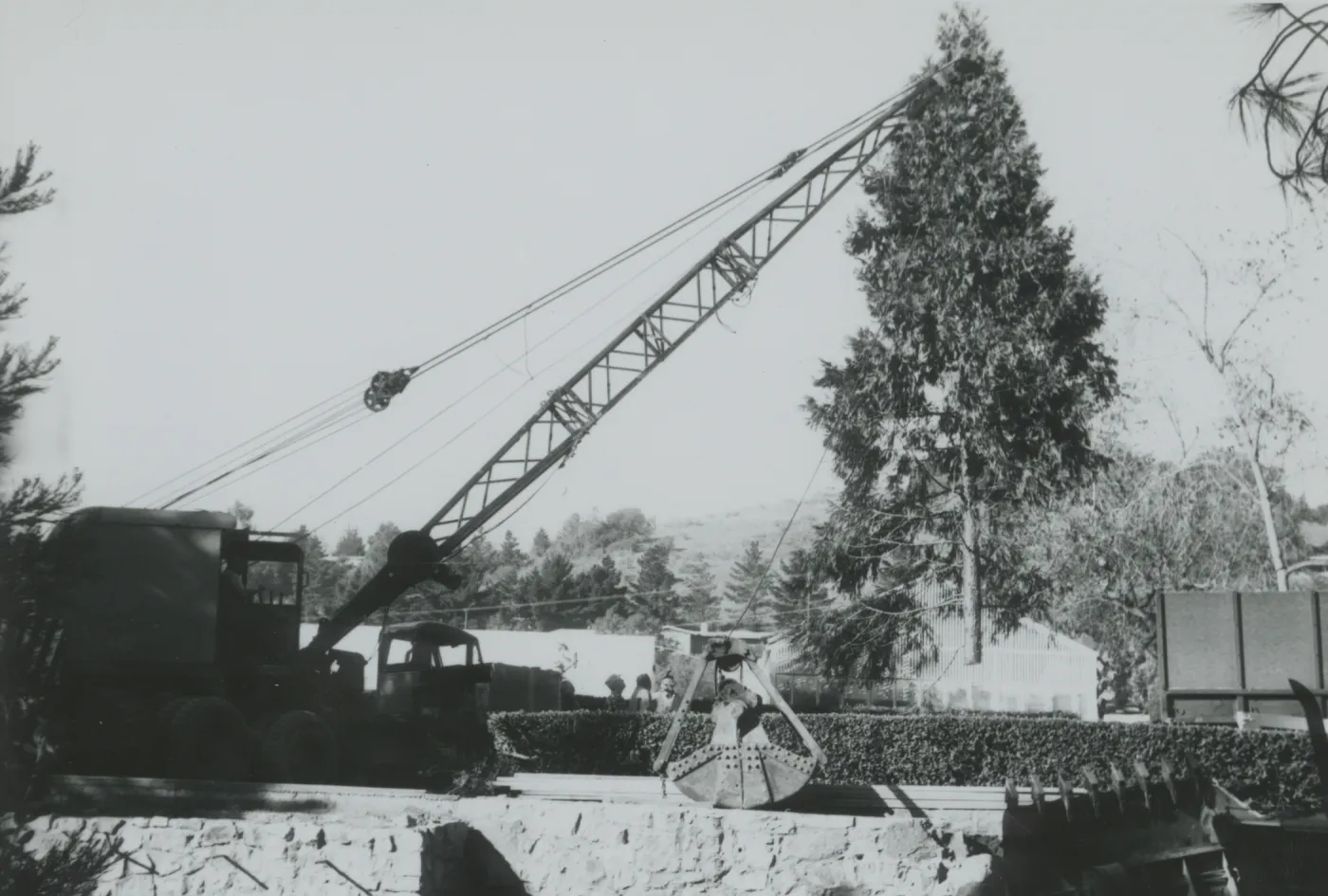 North Wing construction, crane lifting tree removed from the Arroyo