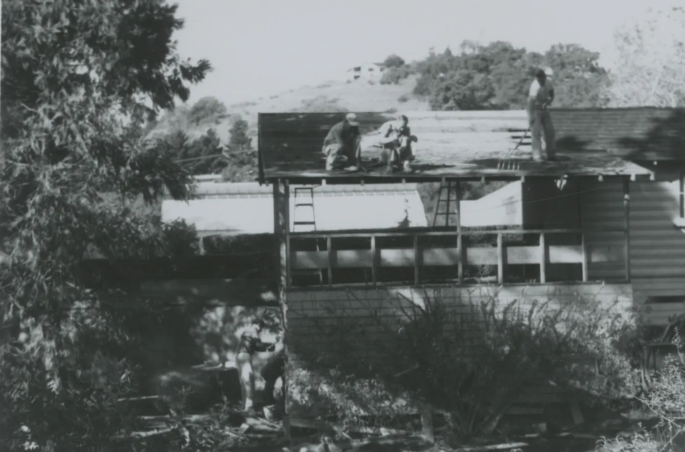 Maintenance Shed, relocation to the Hort Unit