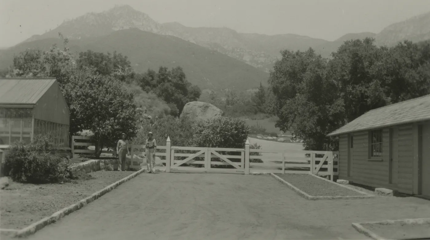 mountain view across the courtyard from the Blaksley Library, 1943