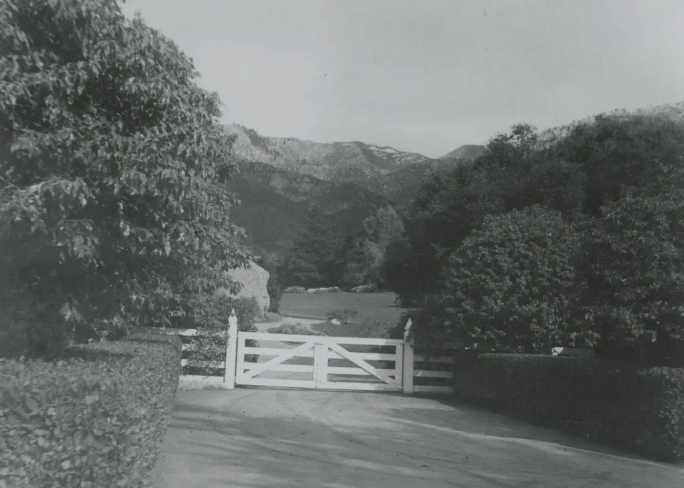 mountain view from the Library Courtyard