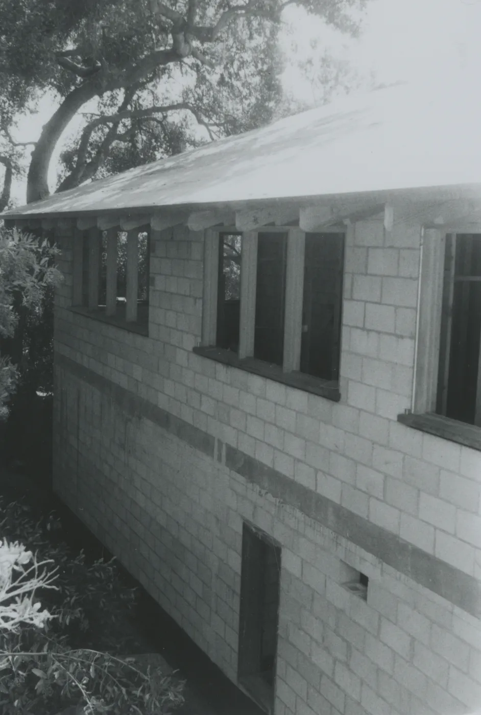 Herbarium construction