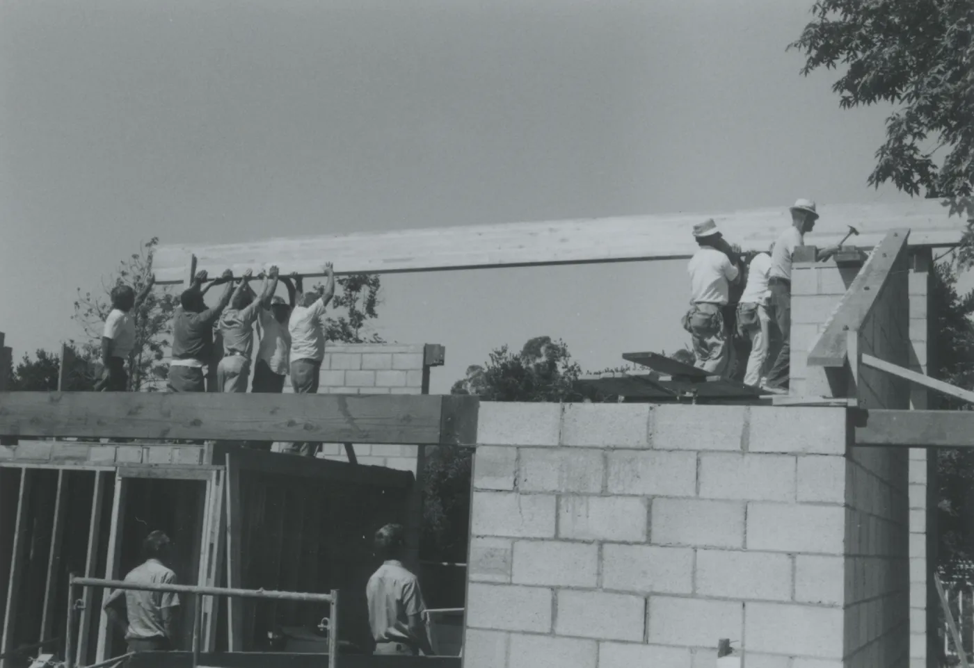 Herbarium construction