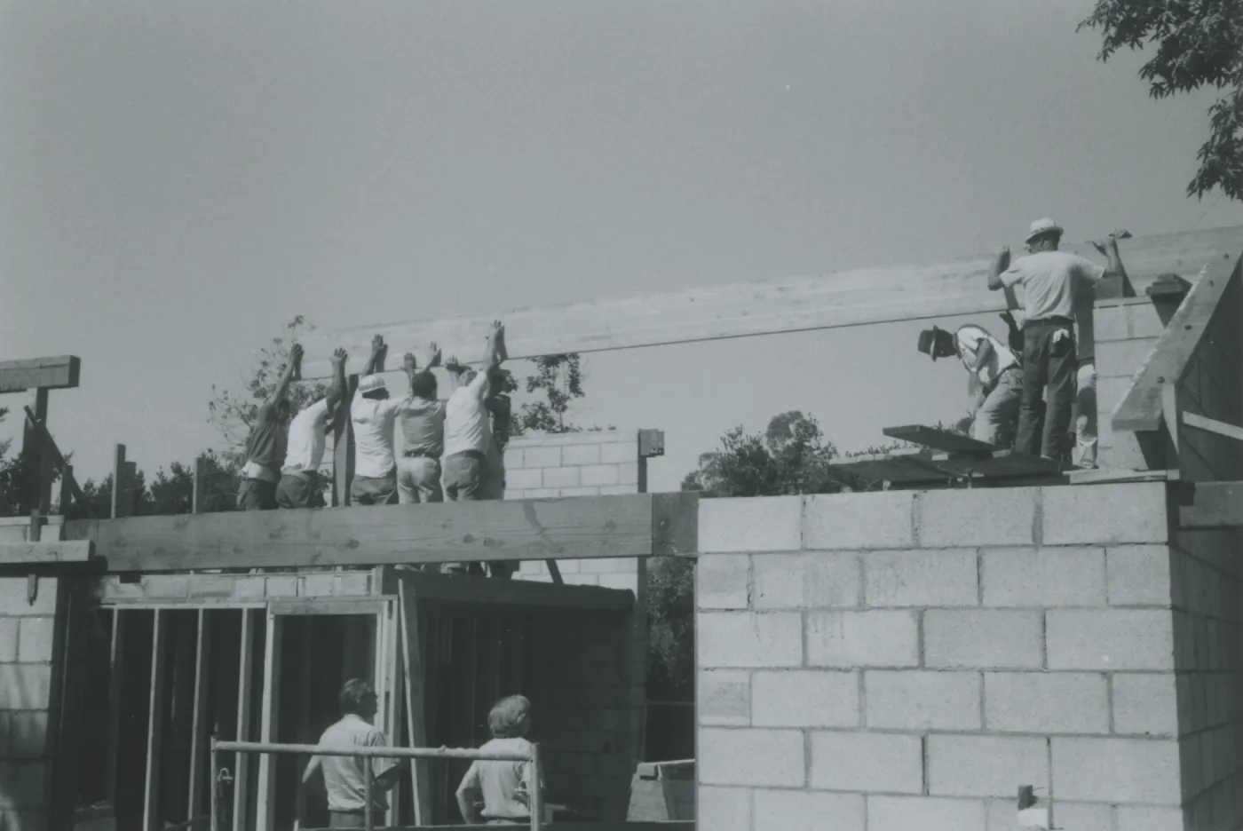 Herbarium construction