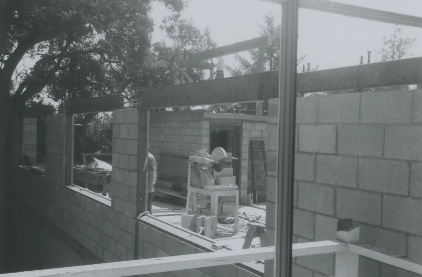 Herbarium construction