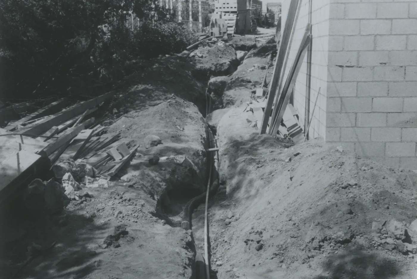 Herbarium construction looking north