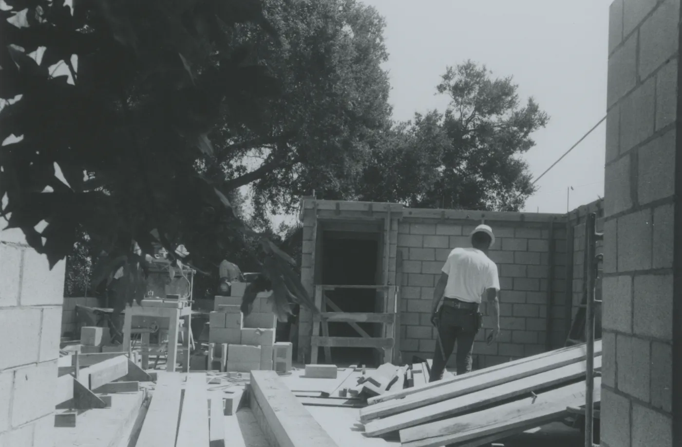 Herbarium construction