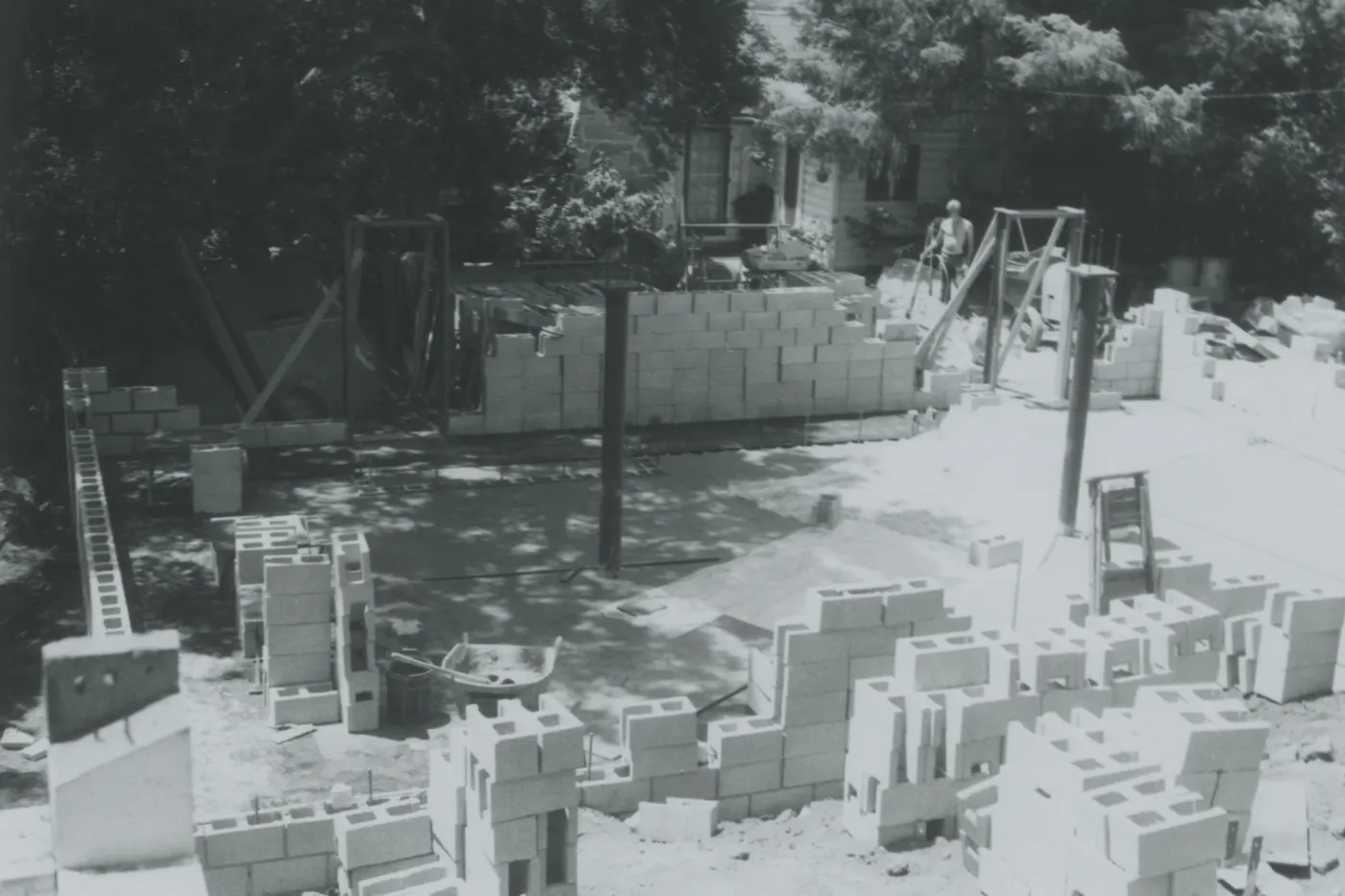 Herbarium construction south toward cottage