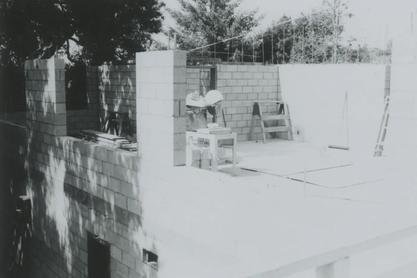 Herbarium construction