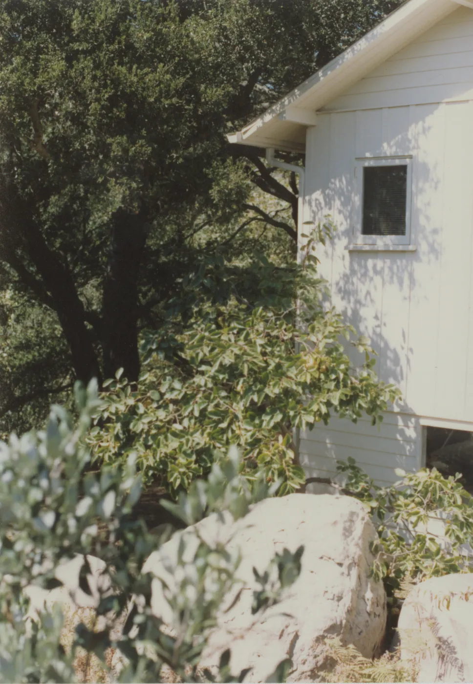 Cottage and garden