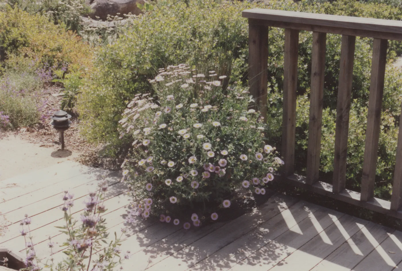 Home Demonstration Garden