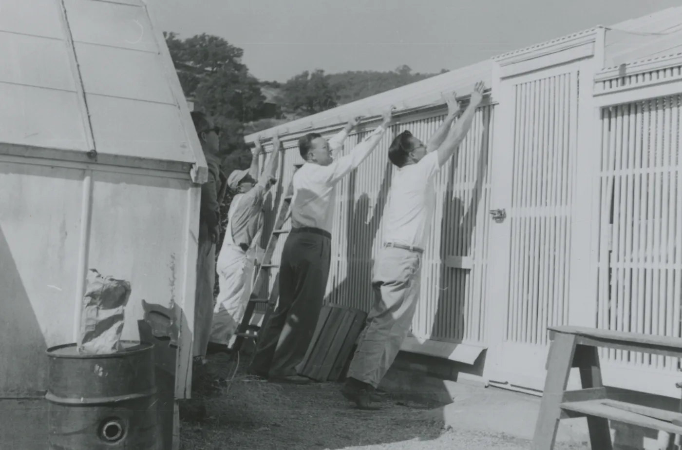 Lath House construction