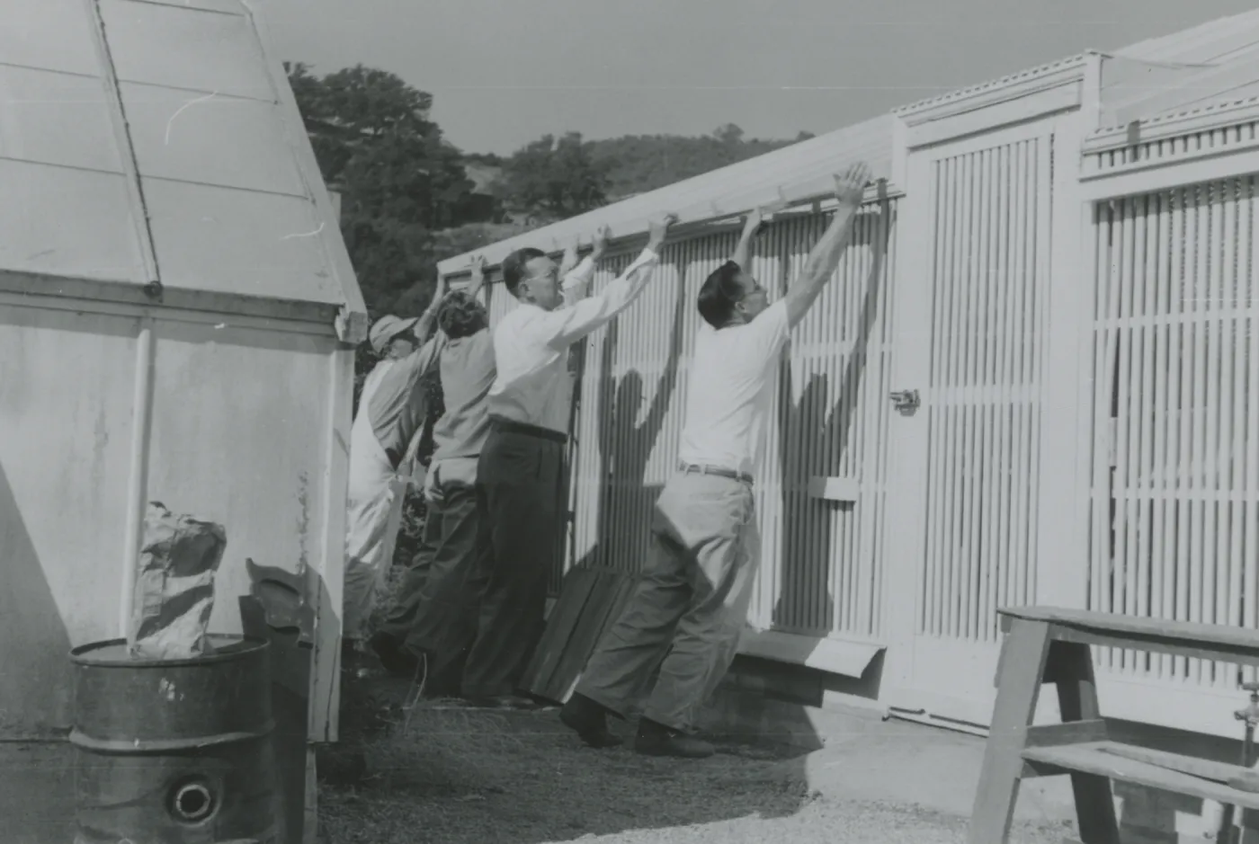 Lath House construction