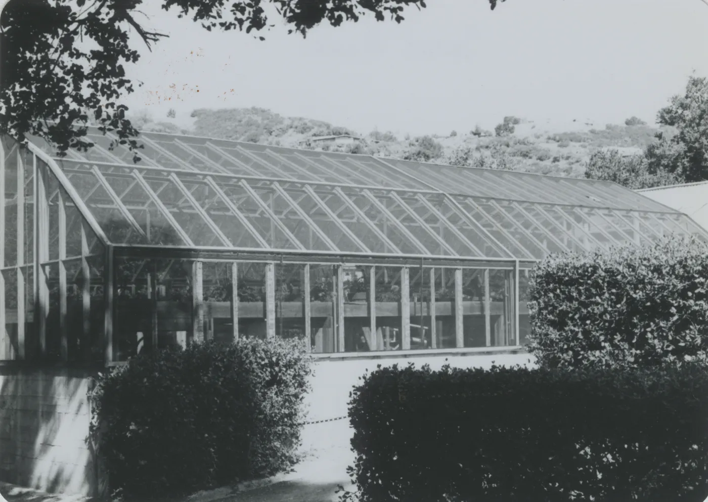Greenhouse