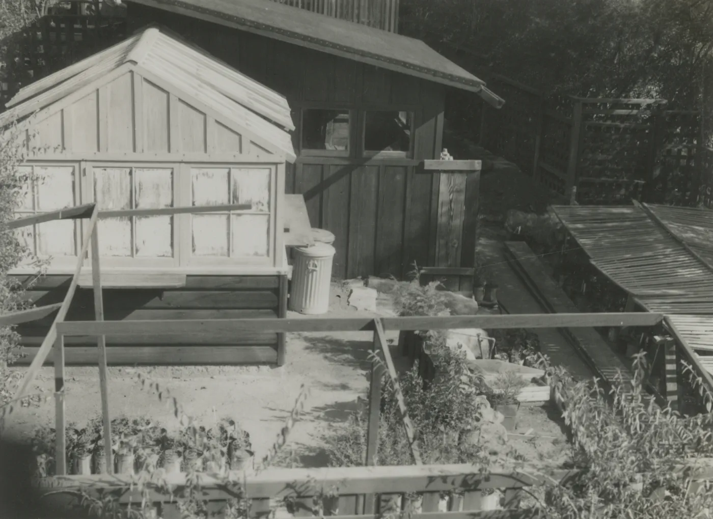 Garden's first greenhouse, lath house, and potting shed, 1937 (site of new lath house)
