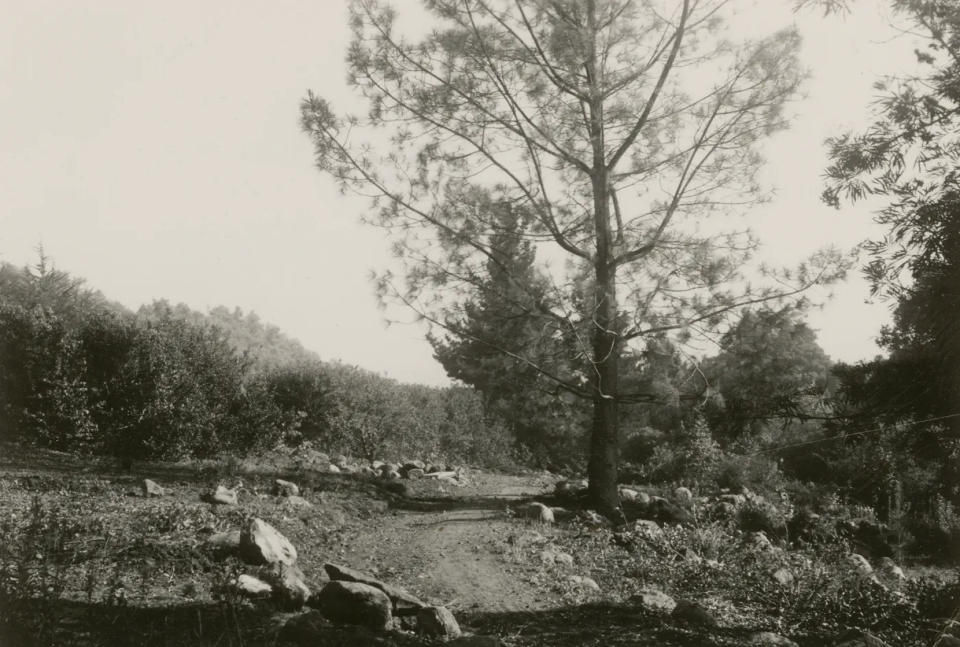 Parking lot construction, 1947