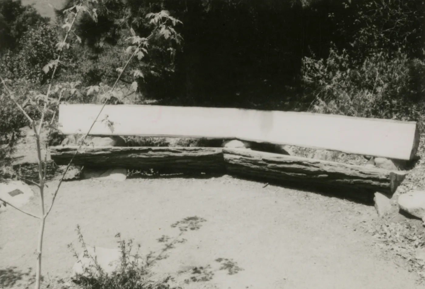 wood bench in Meadow View Garden