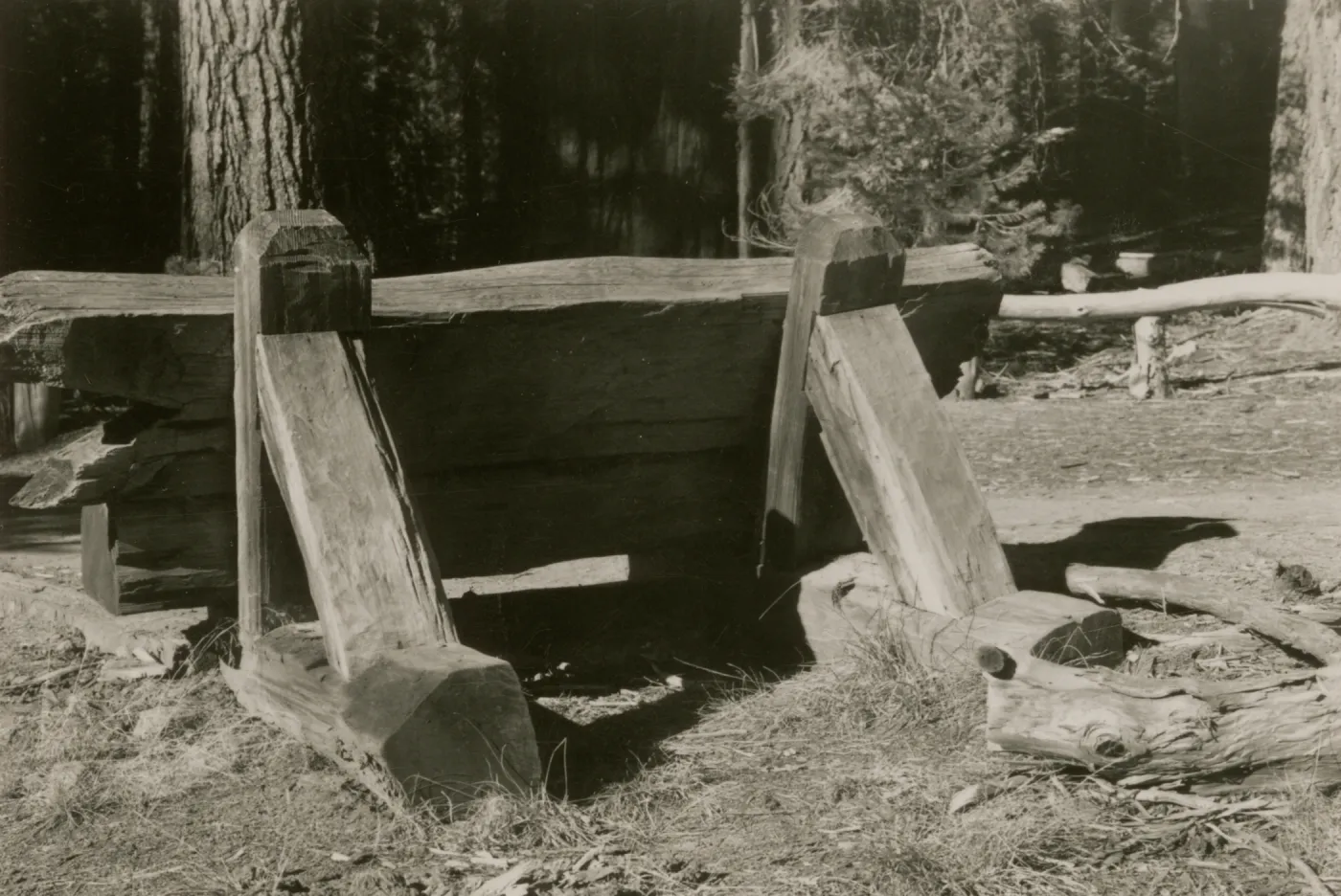 redwood bench prototype, Yosemite