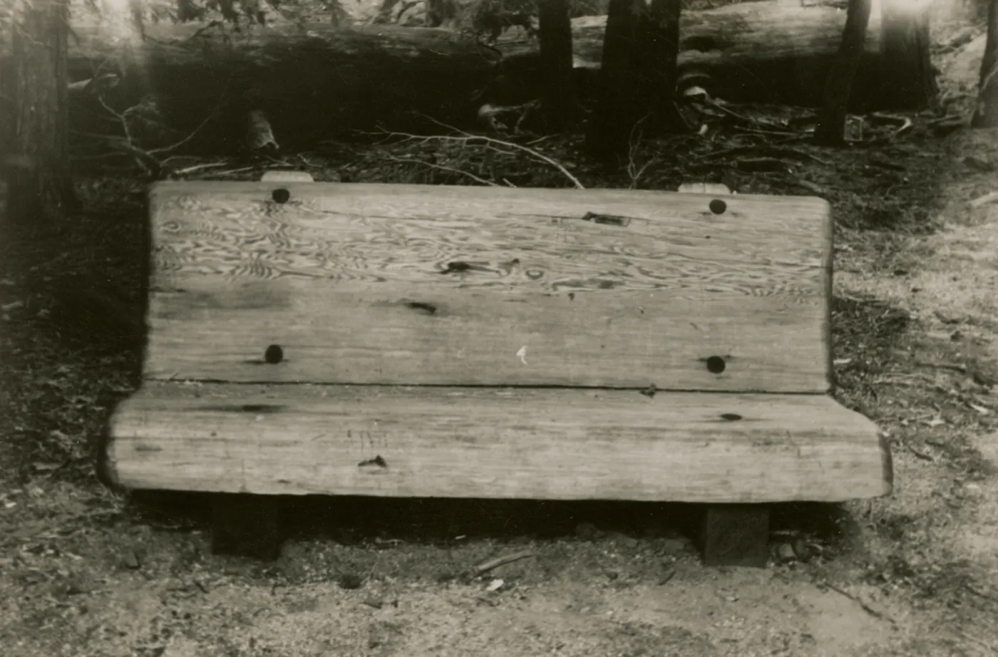 redwood bench prototype, Yosemite