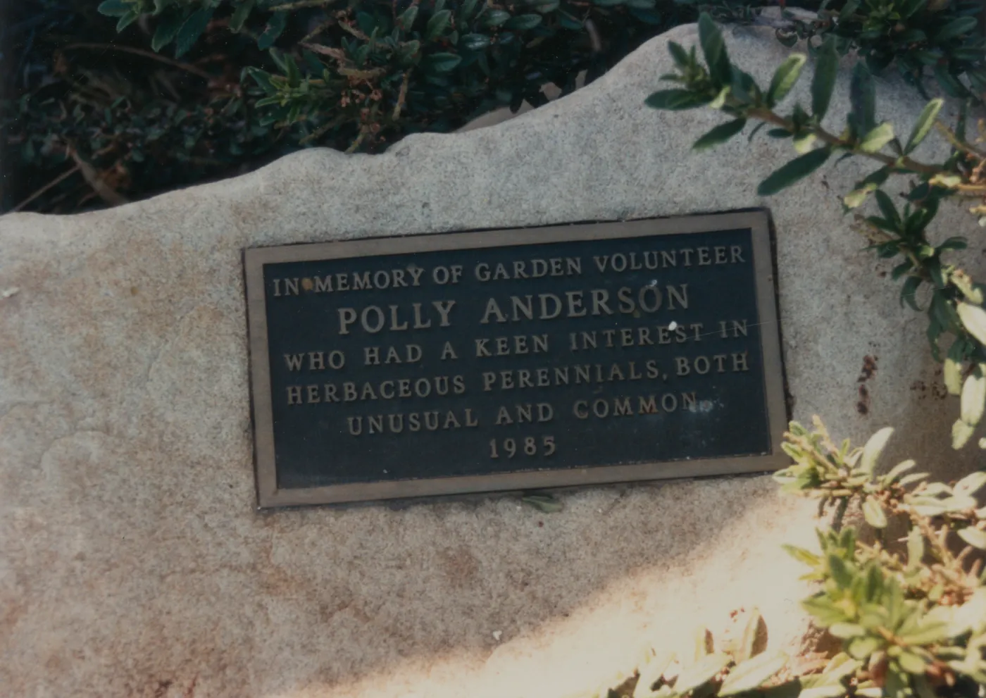 Polly Anderson plaque, 1985, Perennial Bed at Horticulture Unit