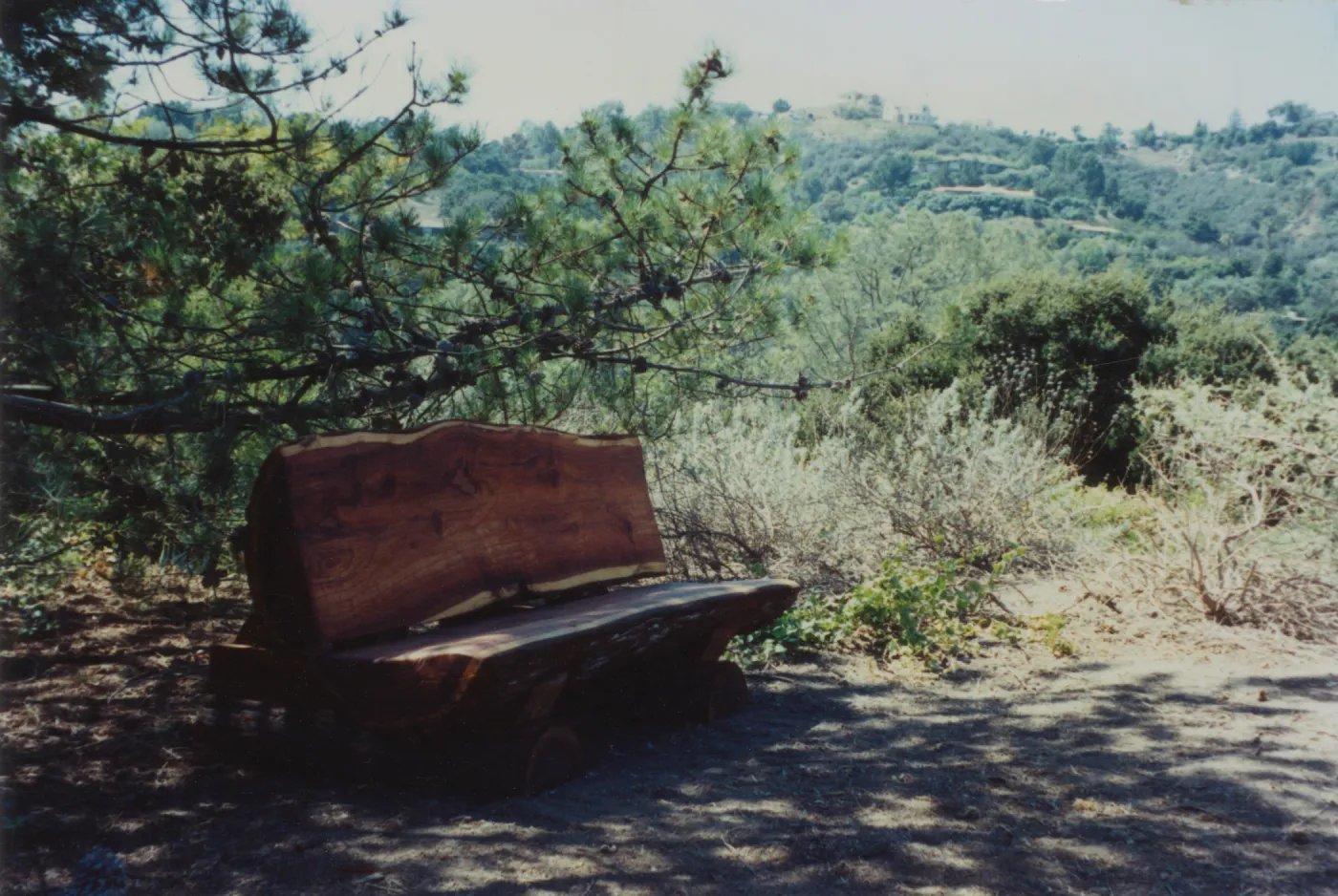 Louise Archbald Bench, Porter Trail