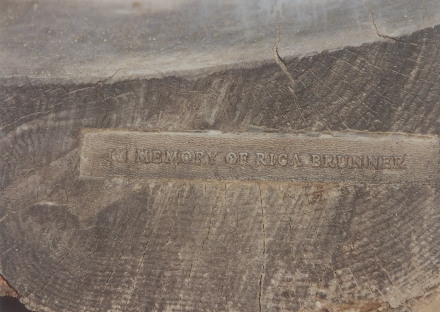 Rica Brunner Bench, 1977, Arroyo Section
