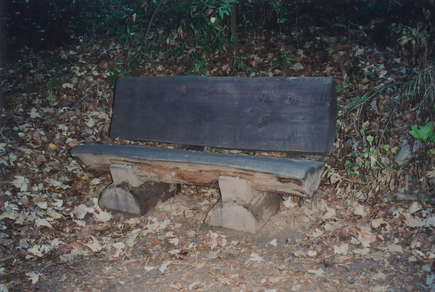 Warren and Shirley Coleman Bench, 1995, Canyon