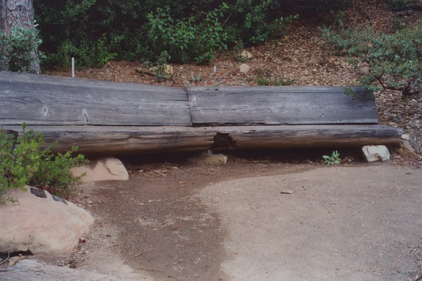 Barbara Storke Conn Bench, 1974, Meadow View Garden