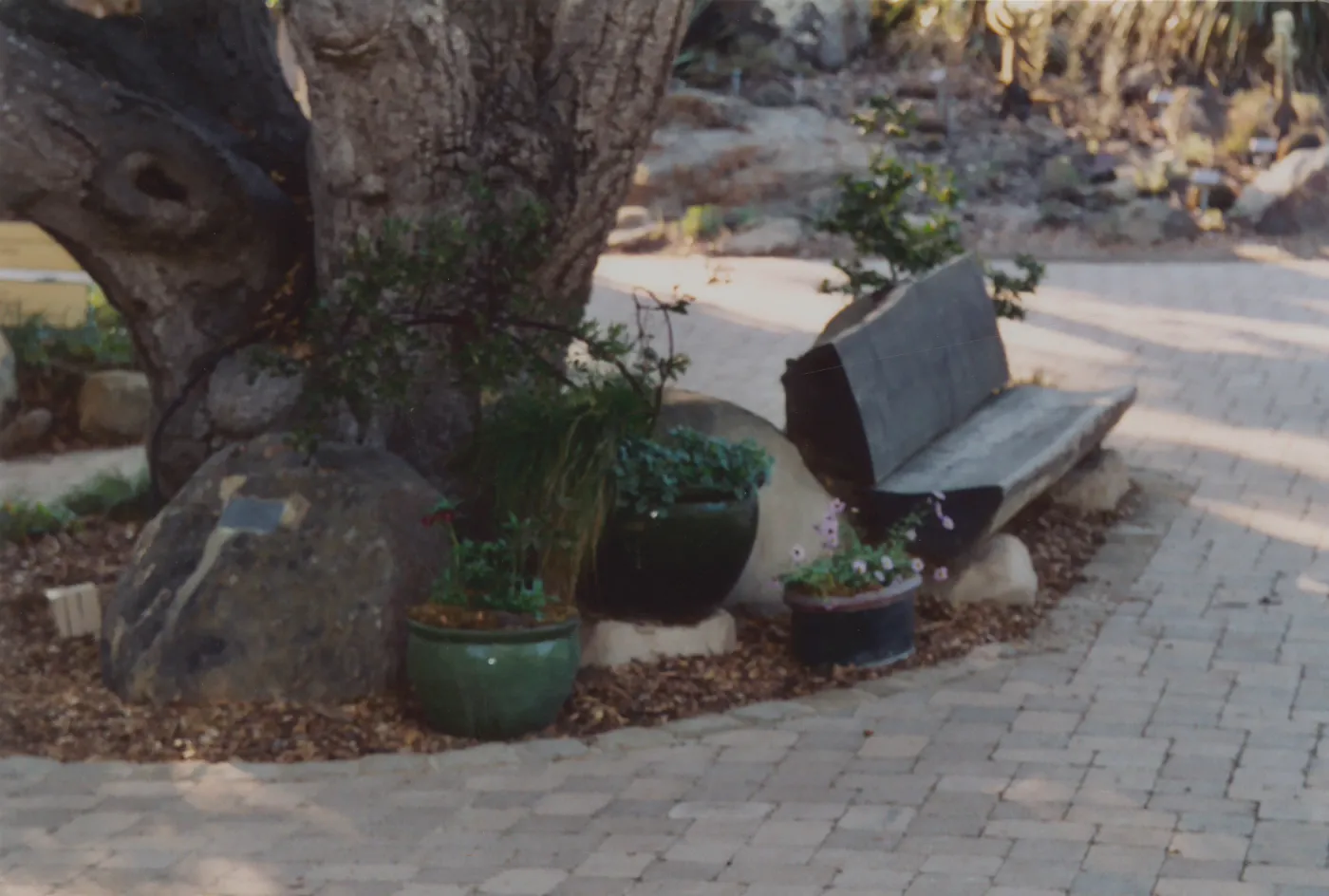 Ralph D. Cornell Bench, (with side bench removed)