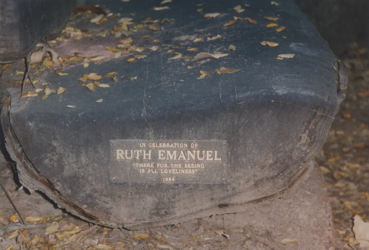 Ruth Emanuel Bench, 1994