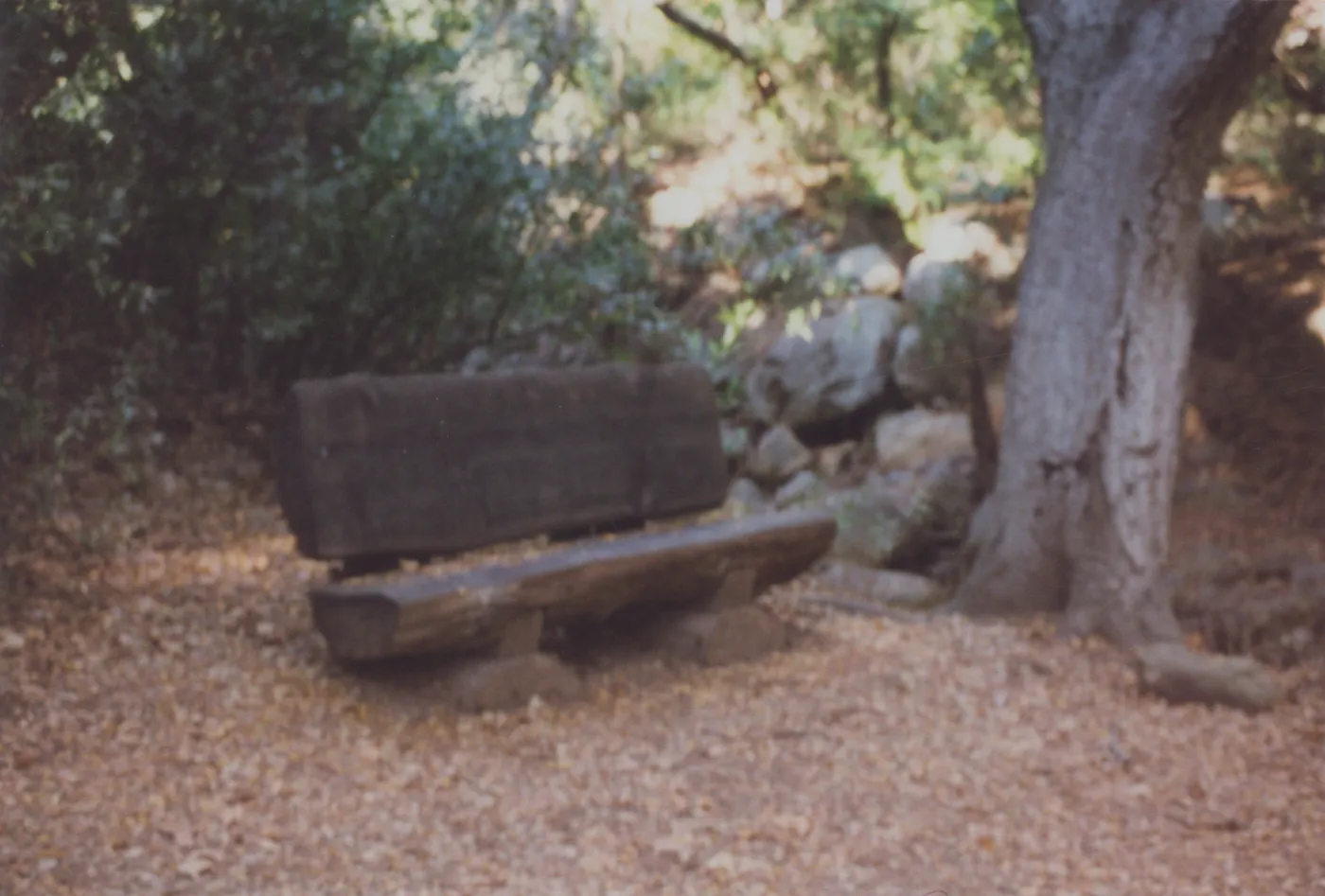 Ruth Emanuel Bench, 1994