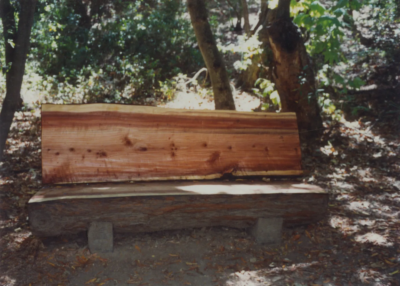 Ford Family Bench, 1990