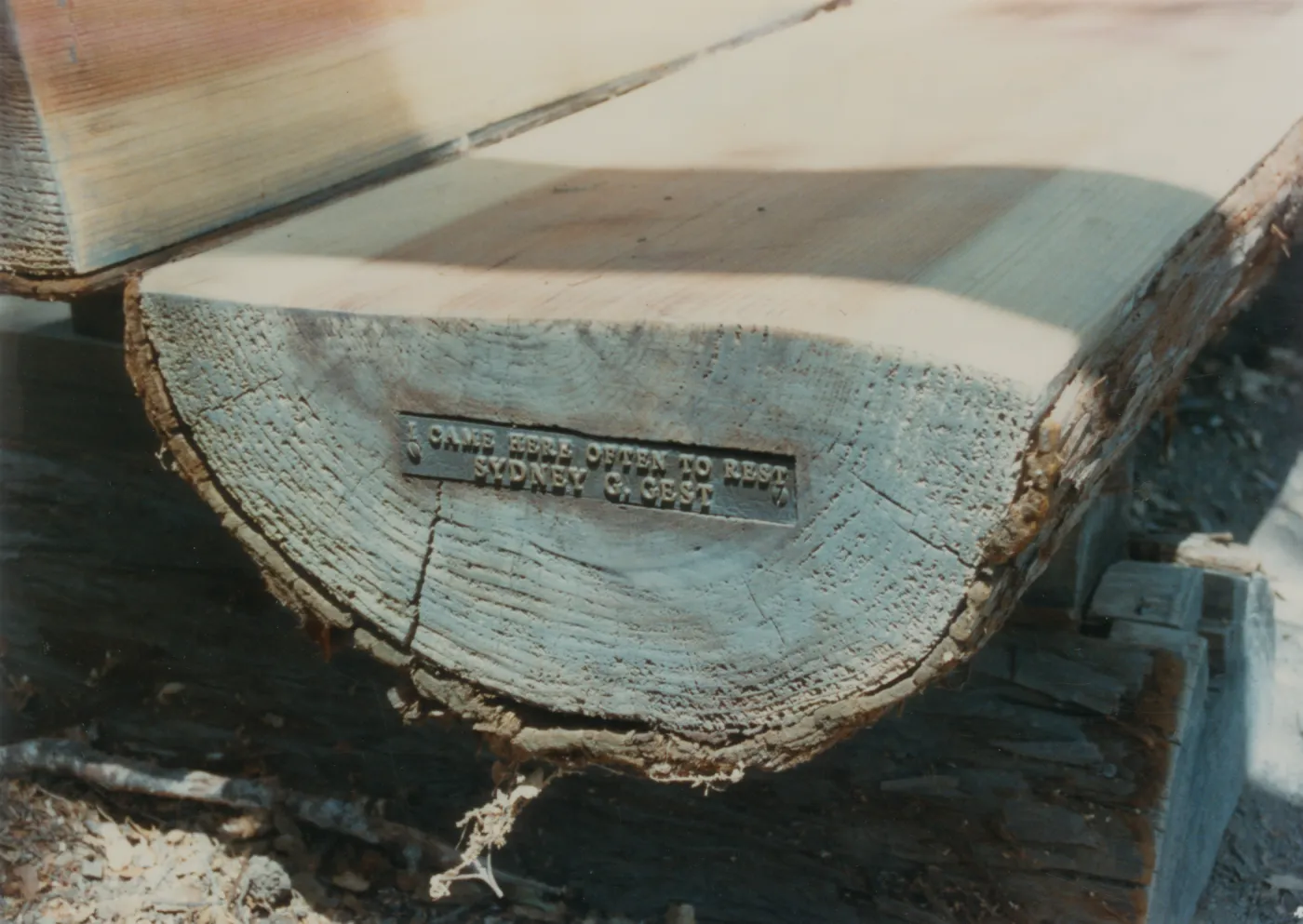 Sydney G. Gest Bench, Meadow