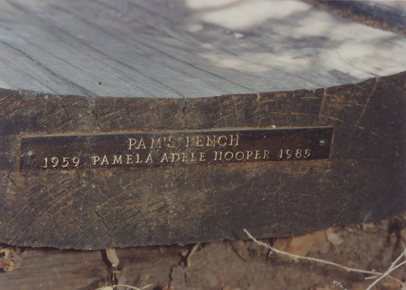 Pam's Bench, Pamela Adele Hooper Bench, 1985