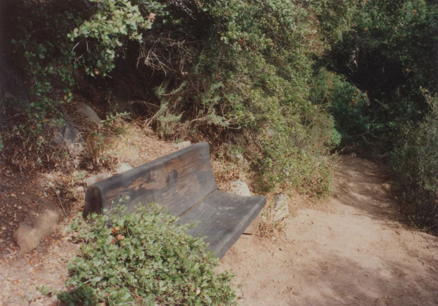Pam's Bench, Pamela Adele Hooper, 1985